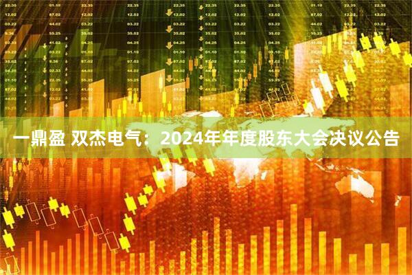 一鼎盈 双杰电气：2024年年度股东大会决议公告