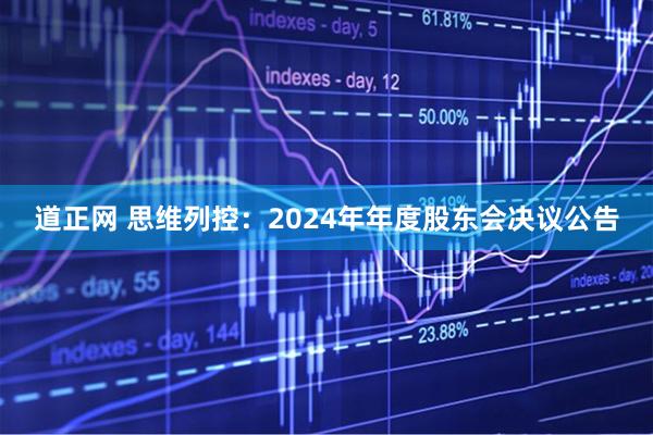 道正网 思维列控：2024年年度股东会决议公告
