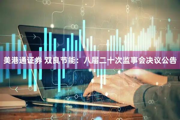 美港通证券 双良节能：八届二十次监事会决议公告