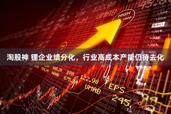 淘股神 锂企业绩分化，行业高成本产能仍待去化