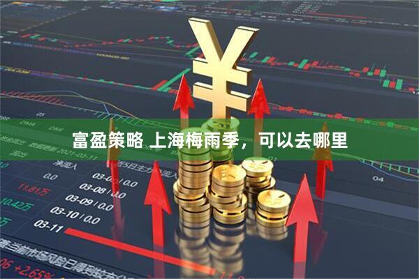 富盈策略 上海梅雨季，可以去哪里