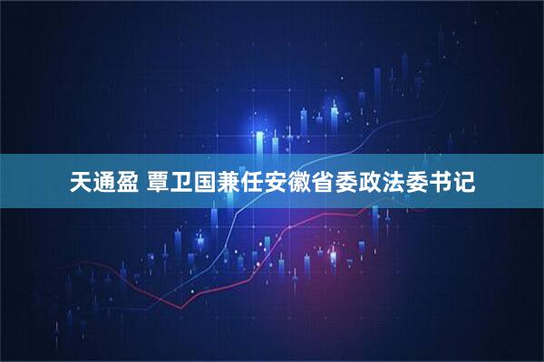 天通盈 覃卫国兼任安徽省委政法委书记