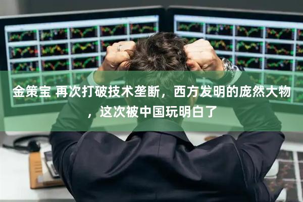 金策宝 再次打破技术垄断，西方发明的庞然大物，这次被中国玩明白了