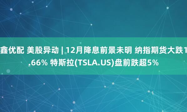 鑫优配 美股异动 | 12月降息前景未明 纳指期货大跌1.66% 特斯拉(TSLA.US)盘前跌超5%