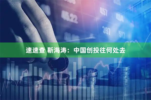 速速查 靳海涛：中国创投往何处去