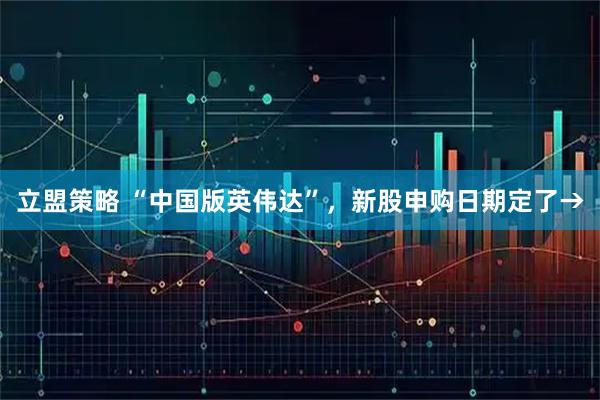 立盟策略 “中国版英伟达”，新股申购日期定了→