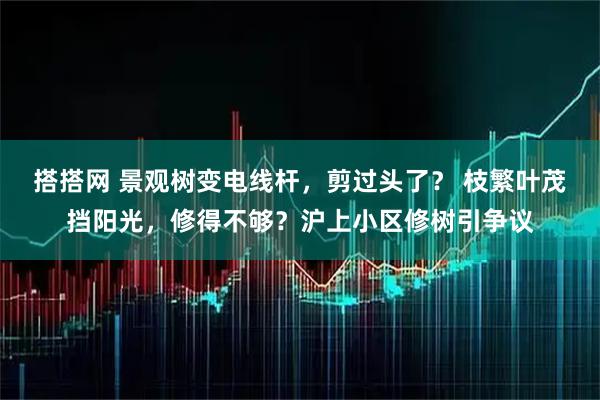 搭搭网 景观树变电线杆,剪过头了? 枝繁叶茂挡阳光,修得不够?沪上小区修树引争议