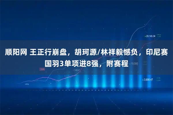 顺阳网 王正行崩盘，胡珂源/林祥毅憾负，印尼赛国羽3单项进8强，附赛程