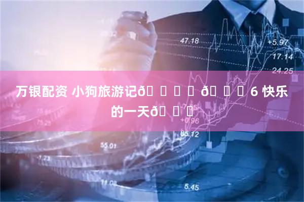 万银配资 小狗旅游记🏝️📔6 快乐的一天😊